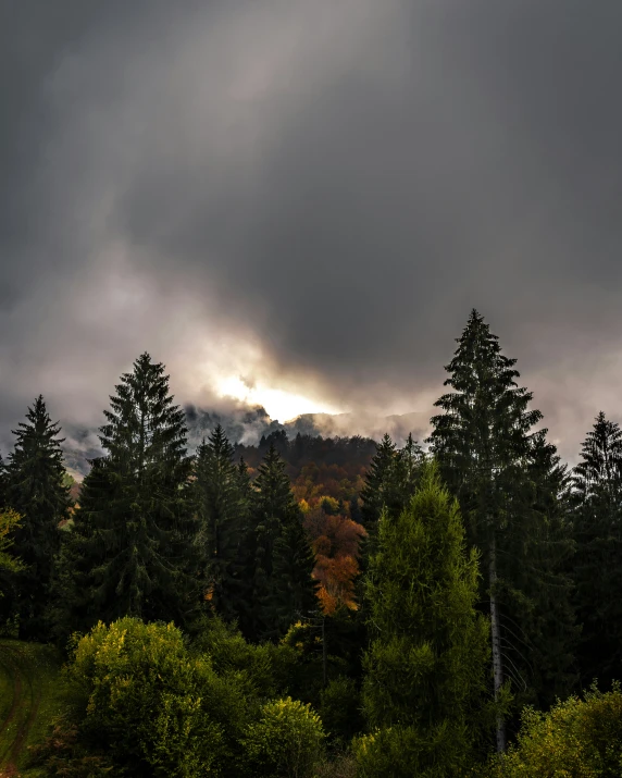 storm clouds gather over a forest on a cloudy day