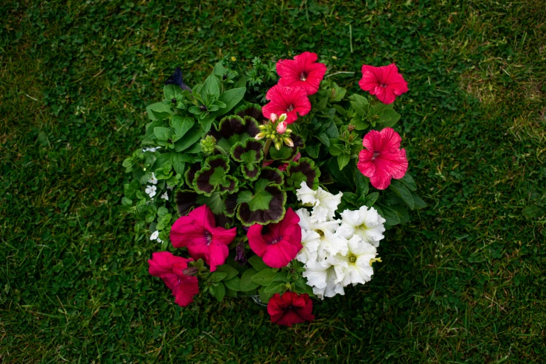 some colorful flowers are in a planter on the grass