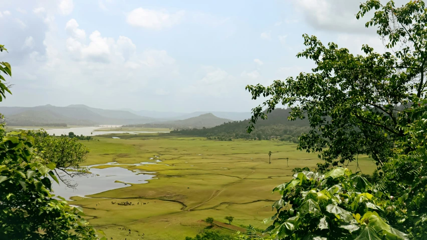 a scenic view over a lush green valley