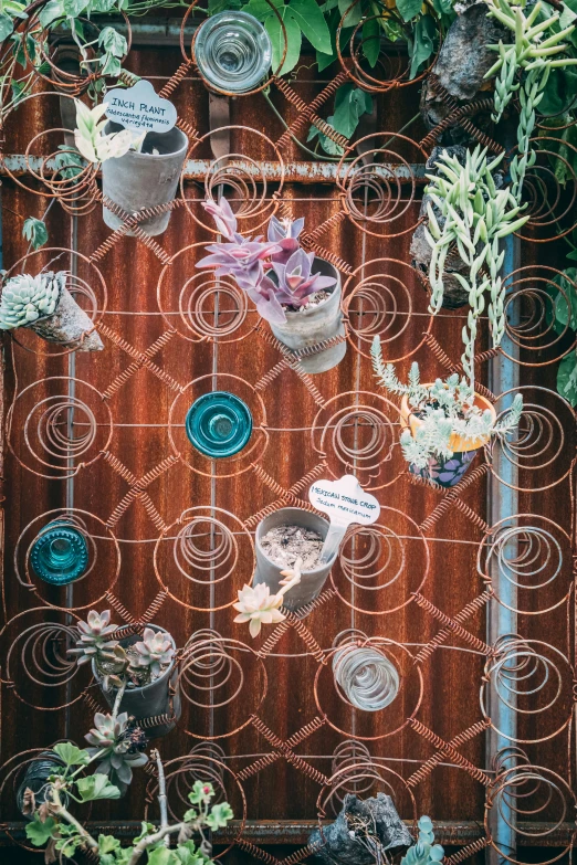 a display in front of a wall that has many plants growing on it