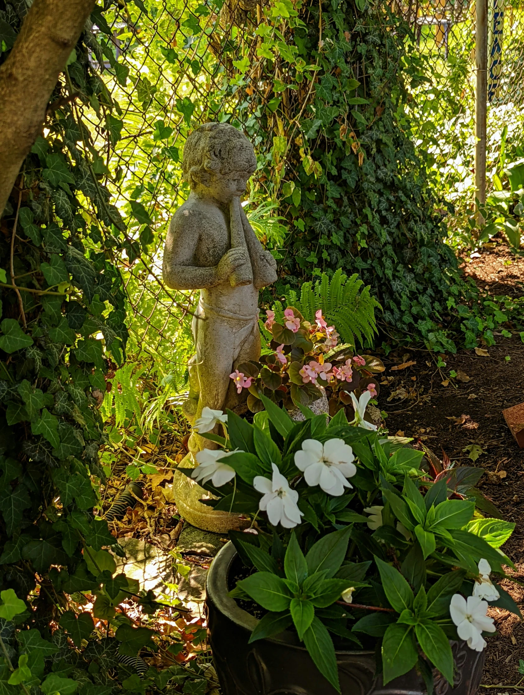 there is a teddy bear sitting on top of a plant