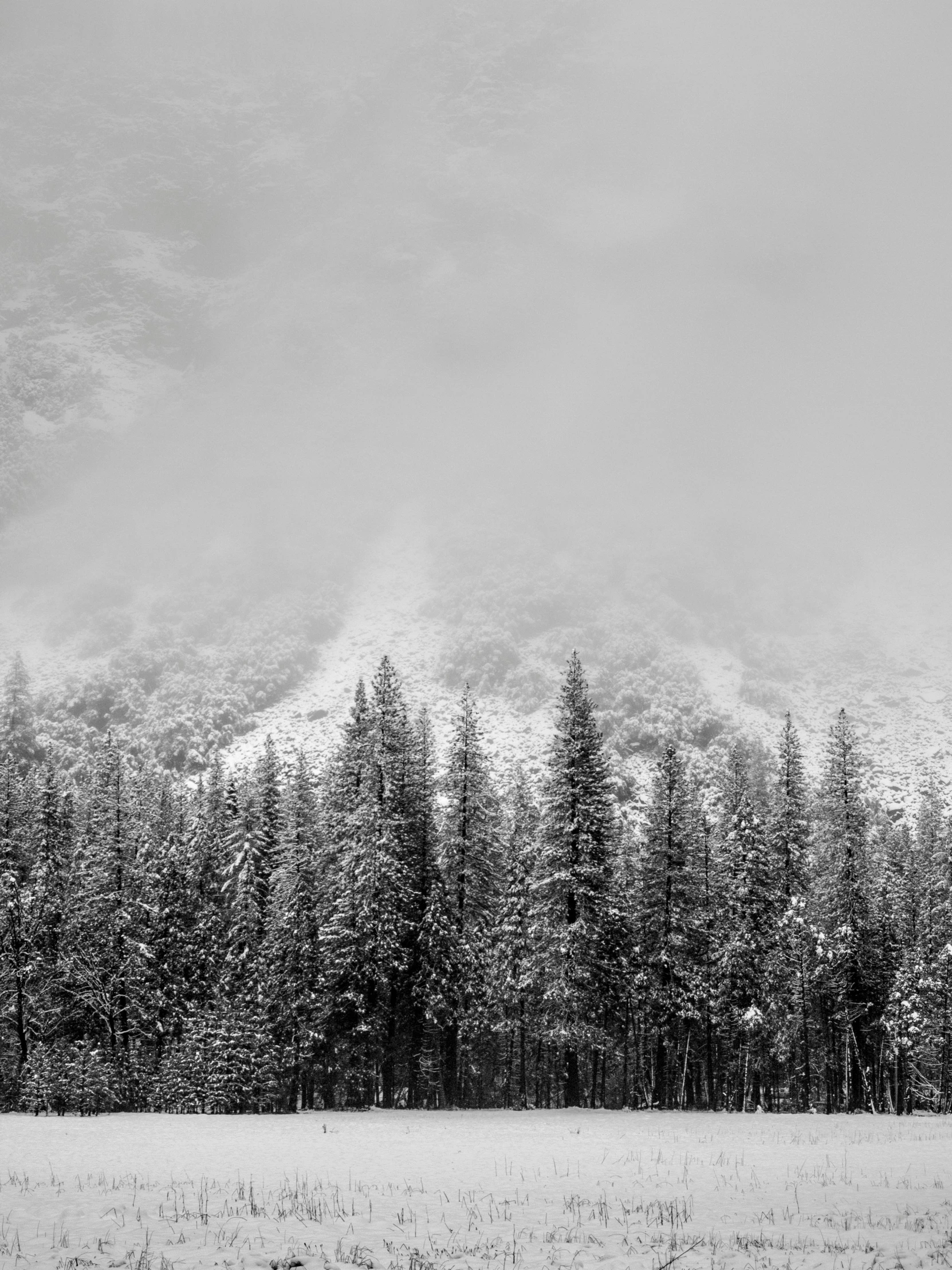 a grassy field that is covered in snow