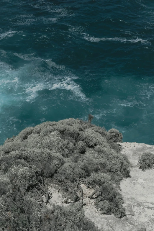 a bird is sitting on the edge of a cliff