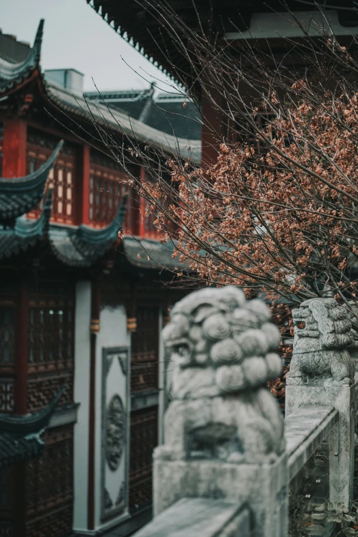 a large old asian architecture near a tree