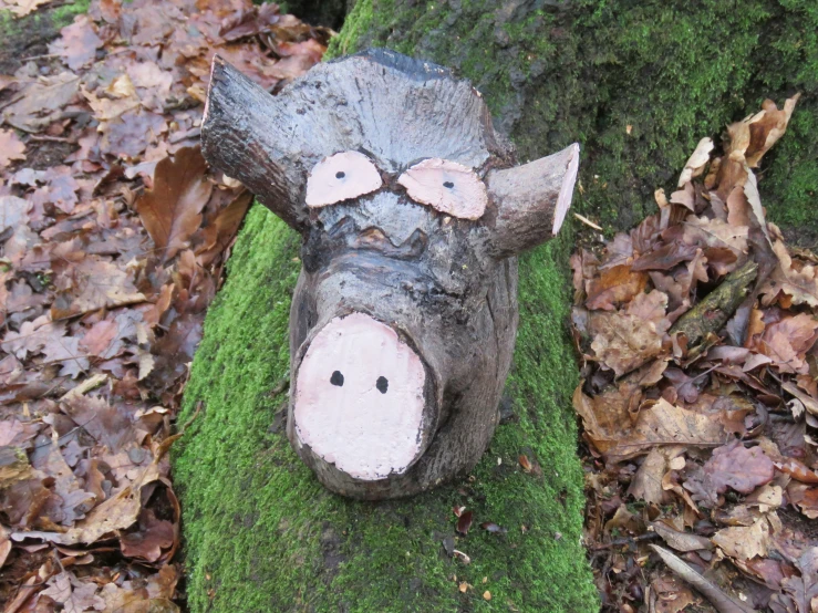 the head of a large log animal lying on moss