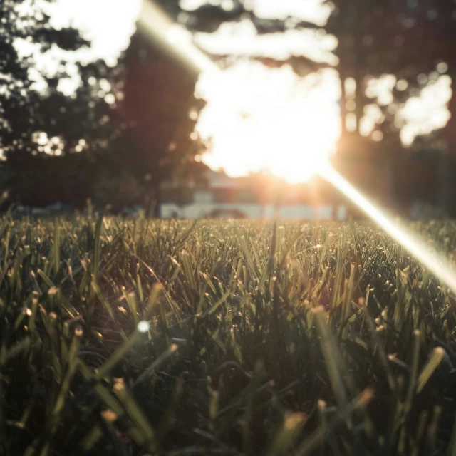 the sun is rising over the grass in the park