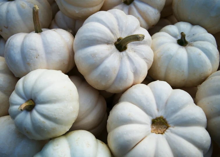 a bunch of white pumpkins are on display for sale