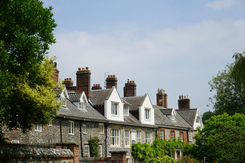 a row of houses sit in front of some trees