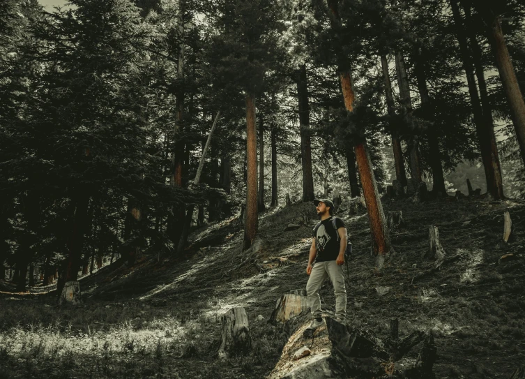 a man standing on a mossy tree trunk