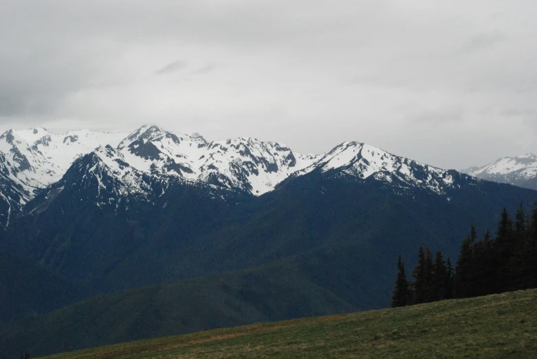 snow covered mountains are viewed from a green grassy hill