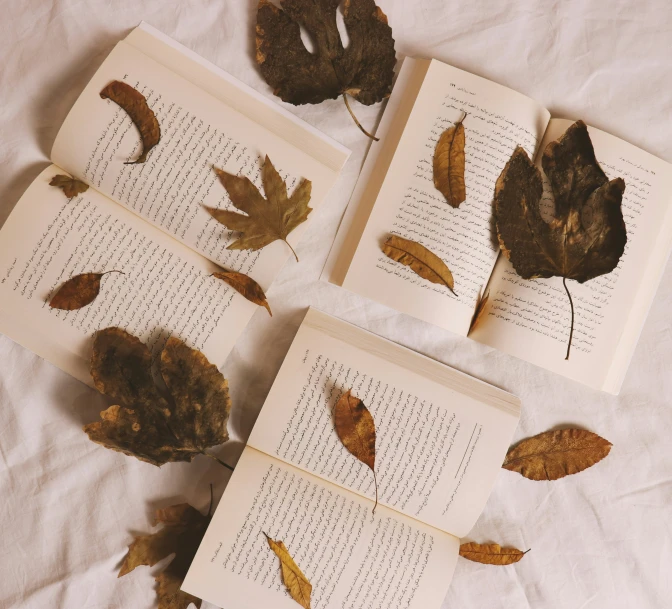 three open book with pages showing various types of leaves