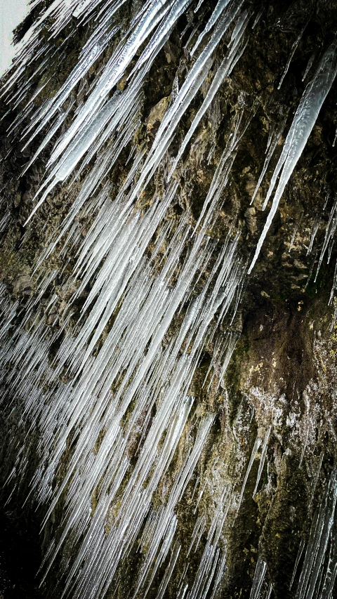 a black and white image of water droplets