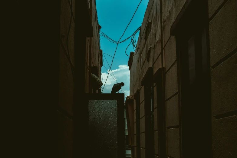 a person walking down a narrow street with buildings