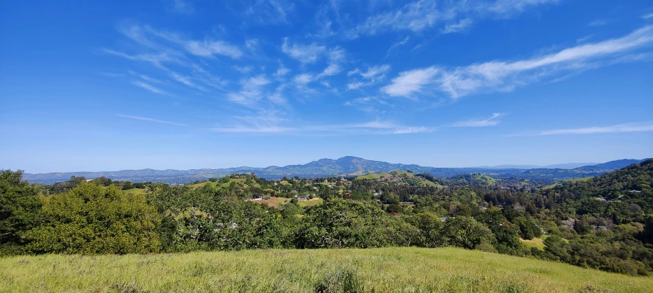 view of mountains from a hillside with lots of trees