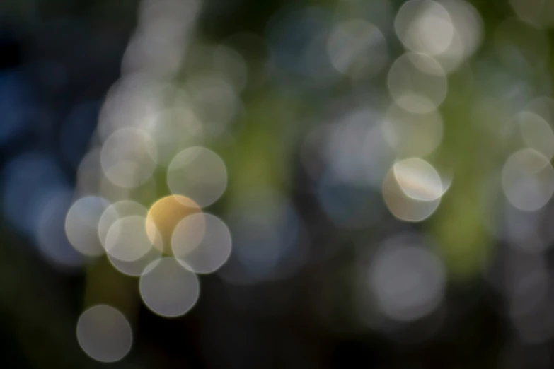 a boke of blurry sunlight shining on a plant