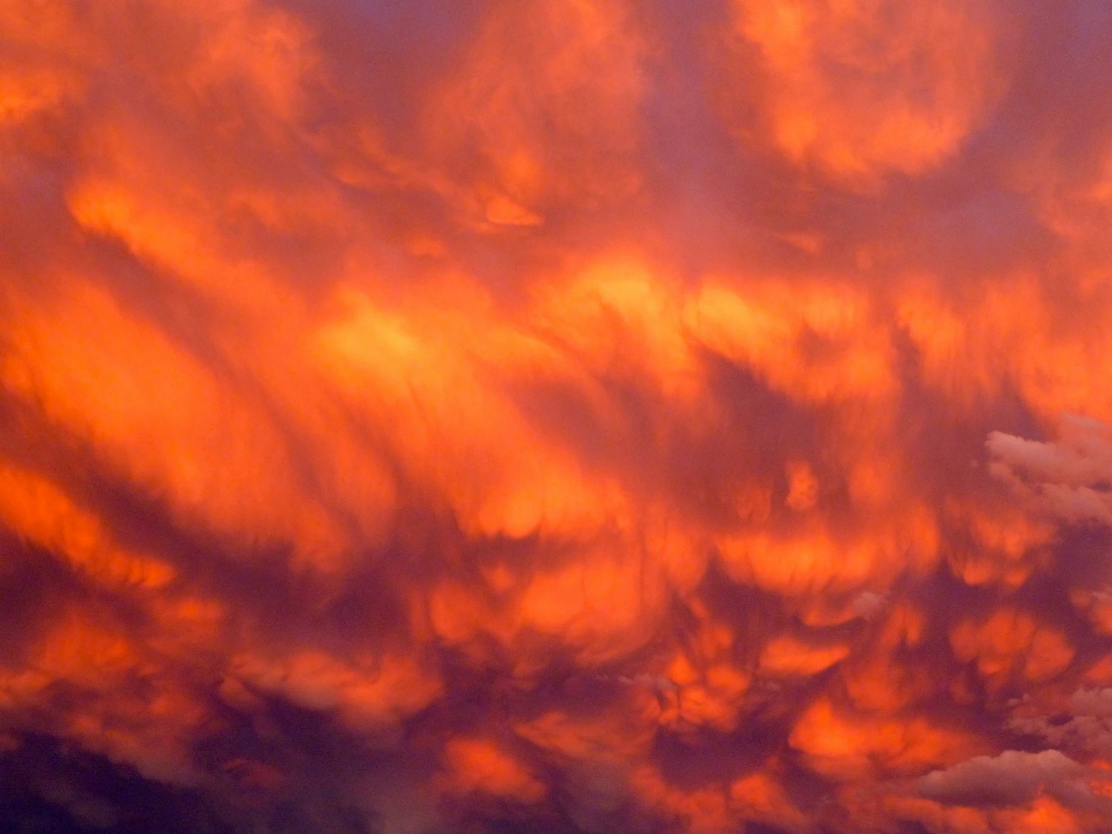 a plane flying in front of an orange and red sky