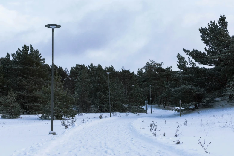 a person is skiing in the snow near a street light