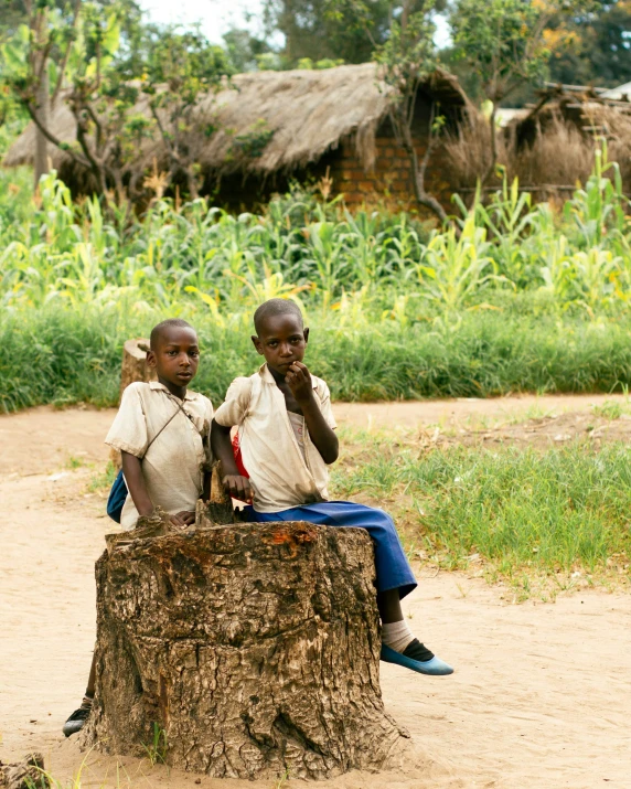 two s sitting on a tree stump with a dirt path