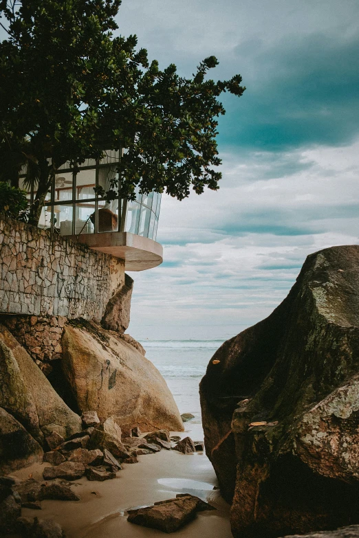 the tree and the building are near the ocean