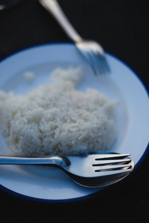 a fork and rice on a blue plate