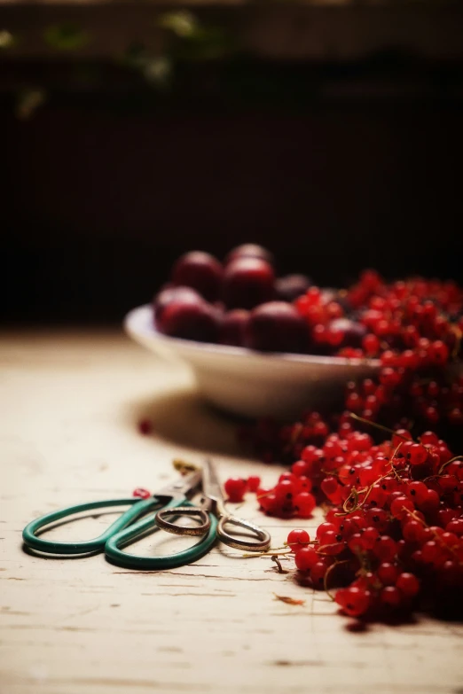 a pair of scissors sitting next to some berries