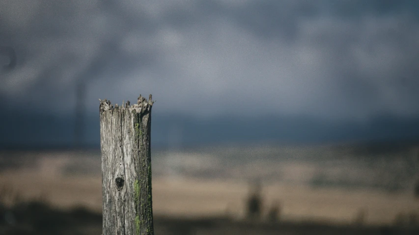 a bird perches on a post in front of dark, stormy skies