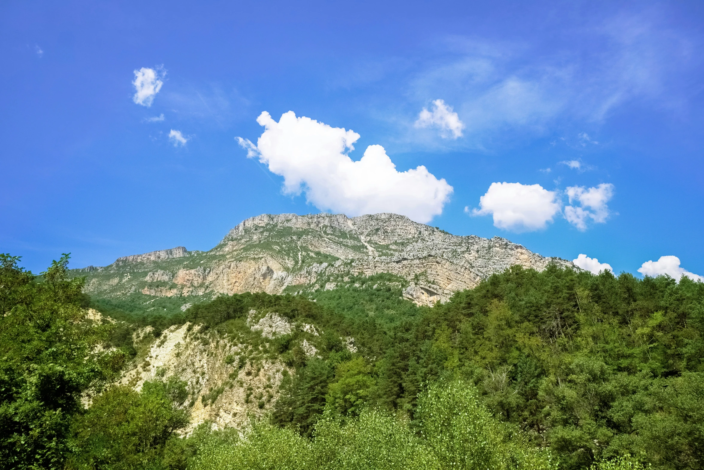 there is a mountain with very thick, patchy vegetation in the foreground