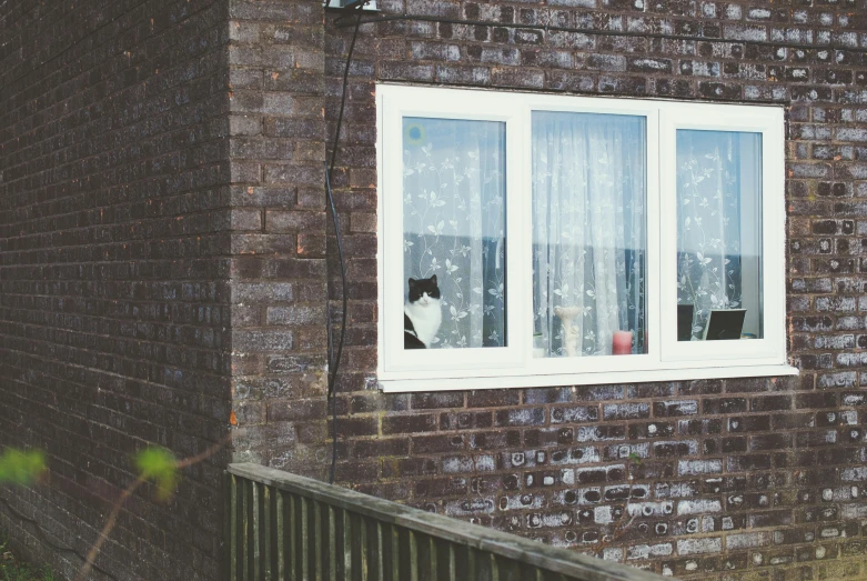 a black and white cat sitting in an open window of a brick building