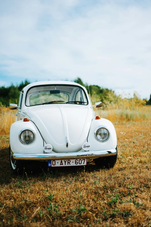 a white car parked on top of a grass covered field