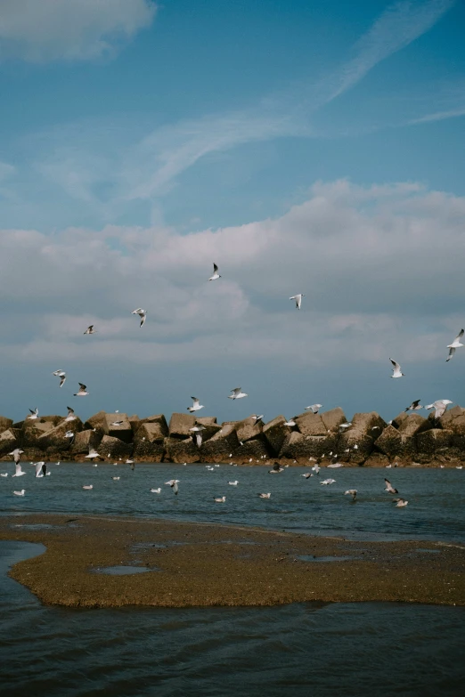 seagulls are flying low over the water