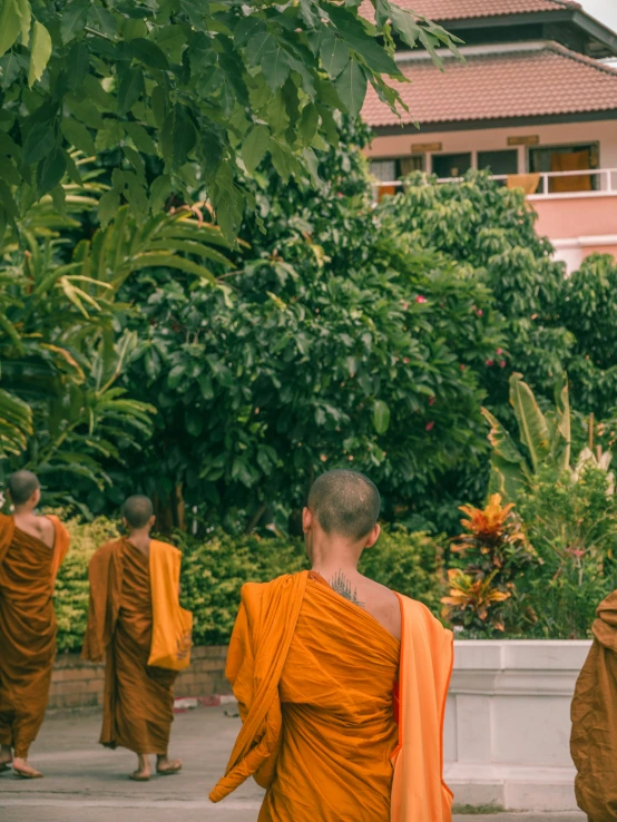 some people in orange robes standing near some trees