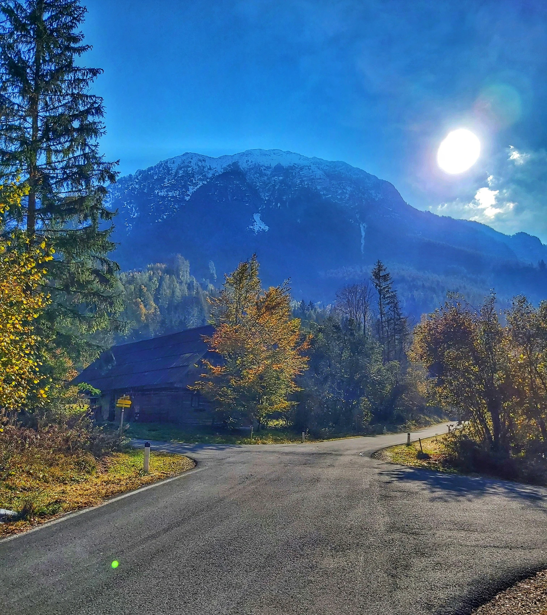 a scenic view of mountains and trees on a dirt road