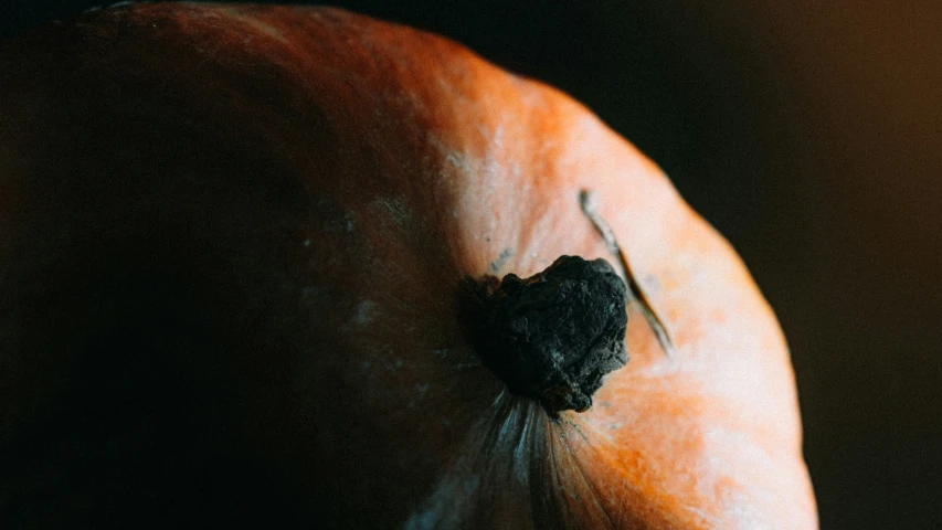 a close up po of the inside of a pumpkin