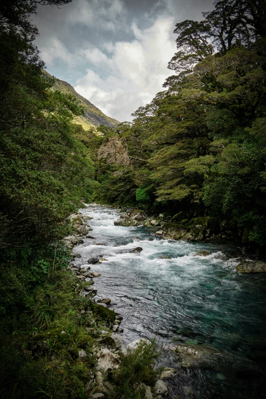 a river in the woods with rocks and trees on the sides