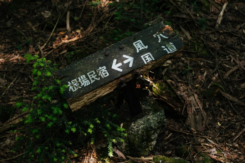 a sign in an oriental country reads it is not safe