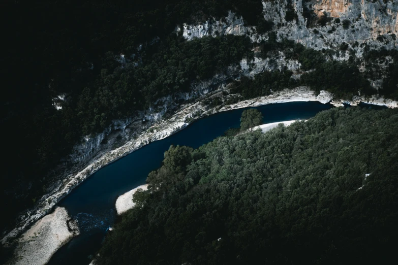 a tree covered forest area next to water