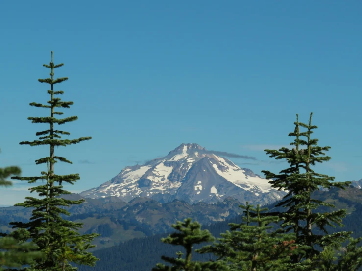 a mountain range in the distance behind some trees