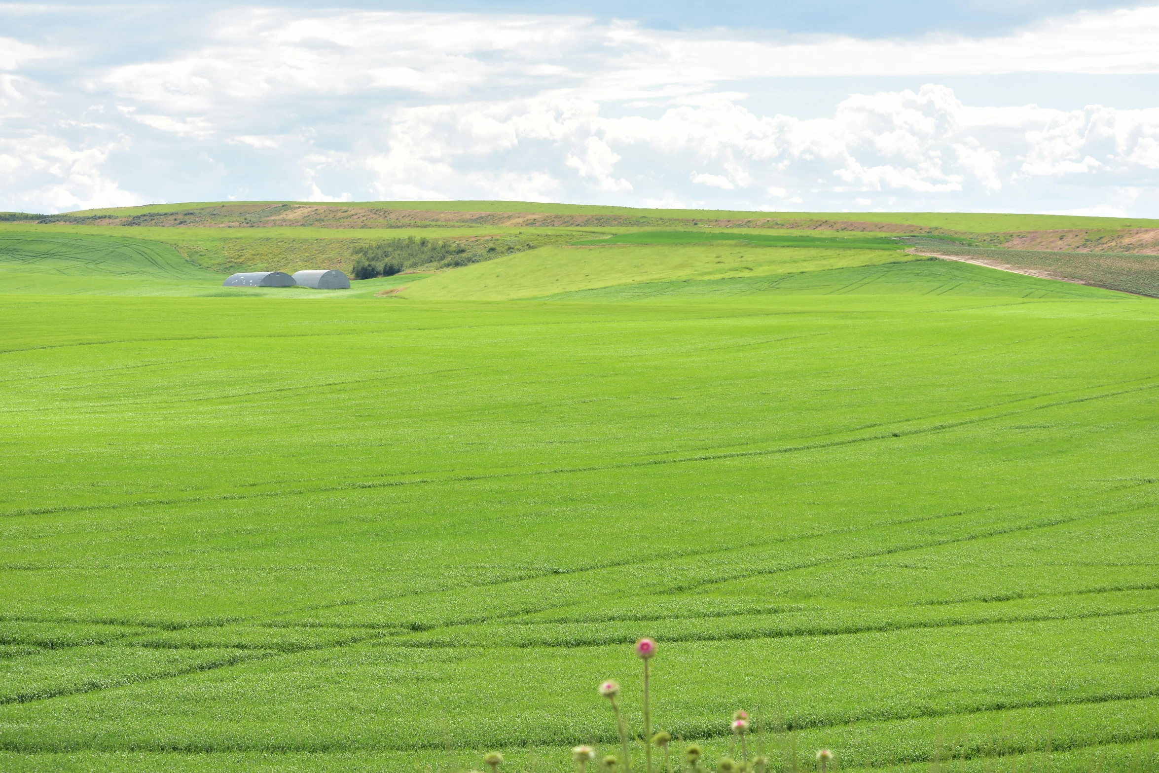 a lush green field surrounded by hills and rolling grass