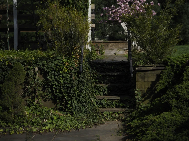 some flowers and bushes on a walkway next to a house