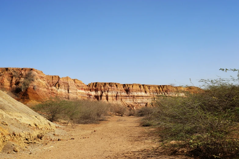 the dirt and mountains are brown and have trees growing on them