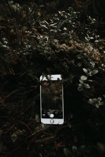 a phone sitting on a forest floor with no screen