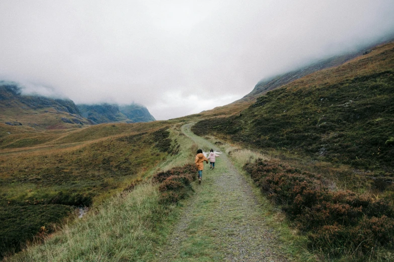 three sheep standing on a path among the grass