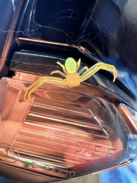 a yellow spider sitting on top of a table