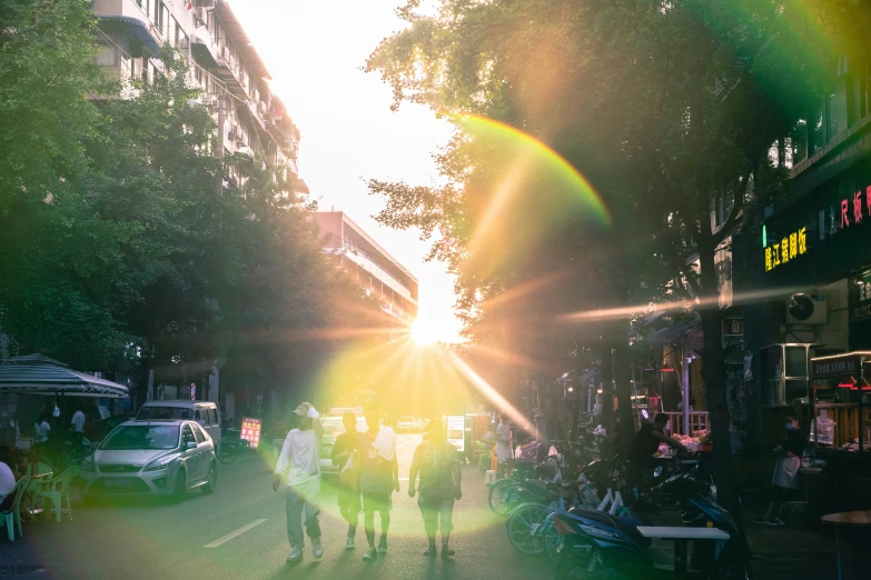 the sun reflects off of the trees and shadows on the sidewalk