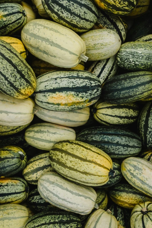 many different colored squashs are stacked next to each other