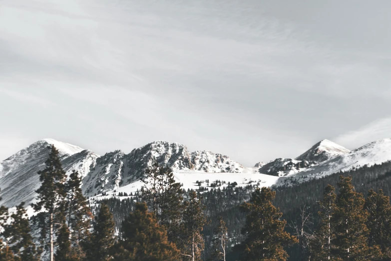 some snow capped mountains that appear to be surrounded by pine trees