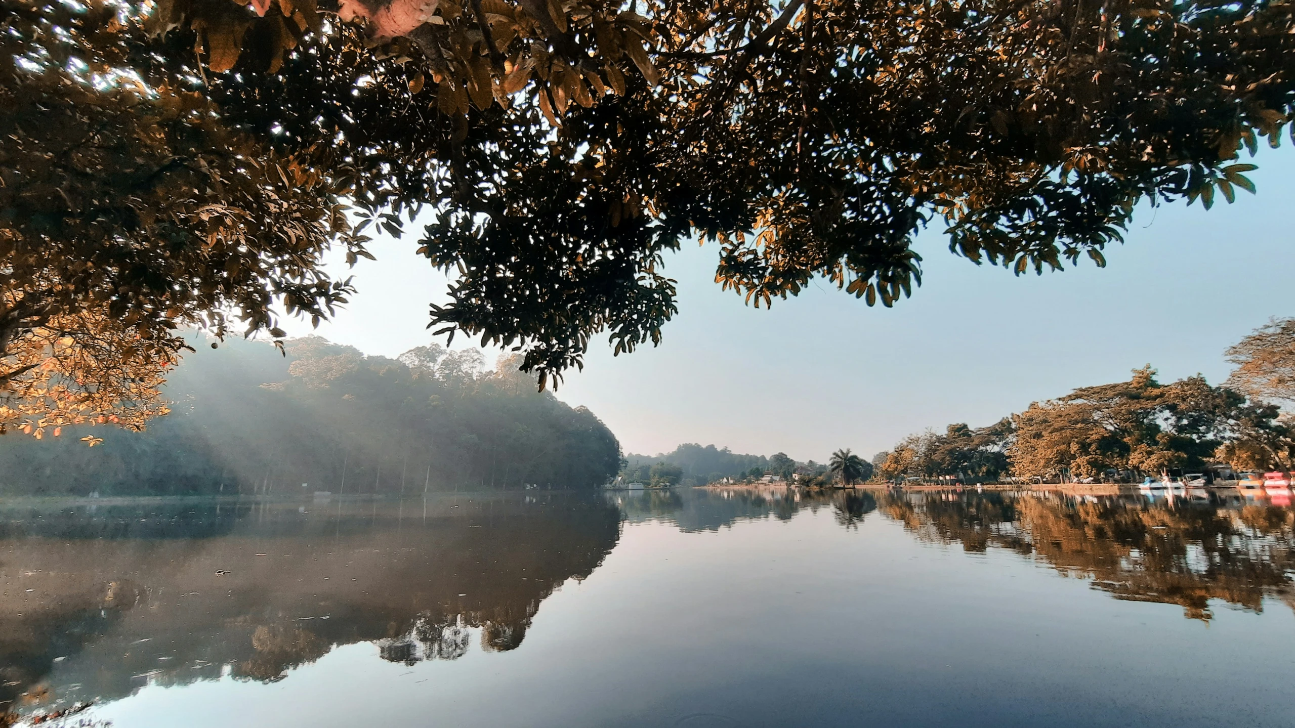 a very calm lake in the morning with the sun shining