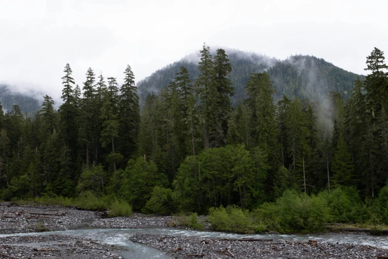 the mountains have covered the trees and rocks