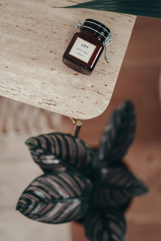 a jar sitting on a table with an indoor flower