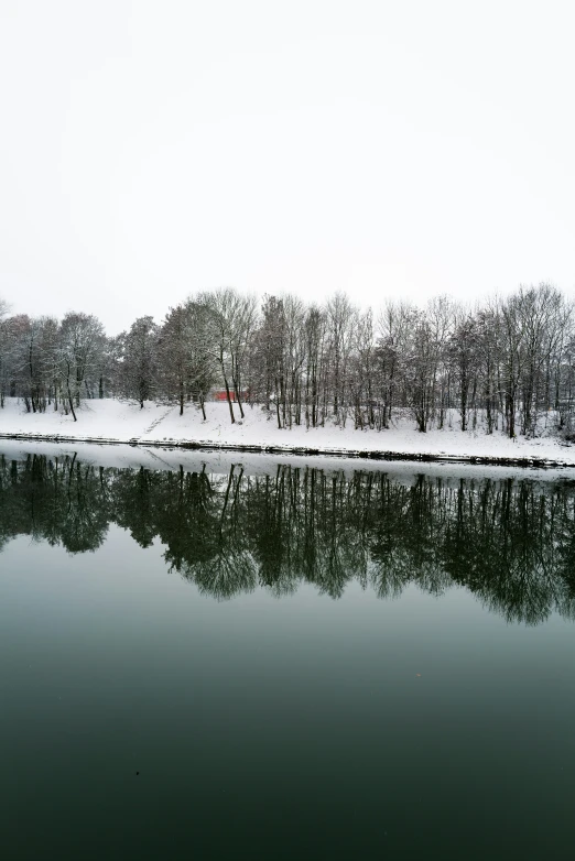 the tree covered field beside the pond is empty